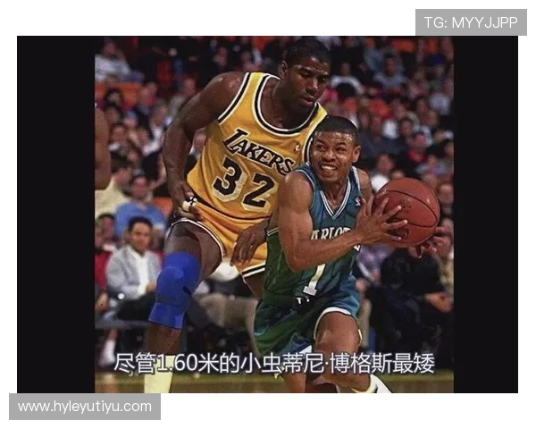 如何快速理解NBA八秒违例的判定标准与规则目的？